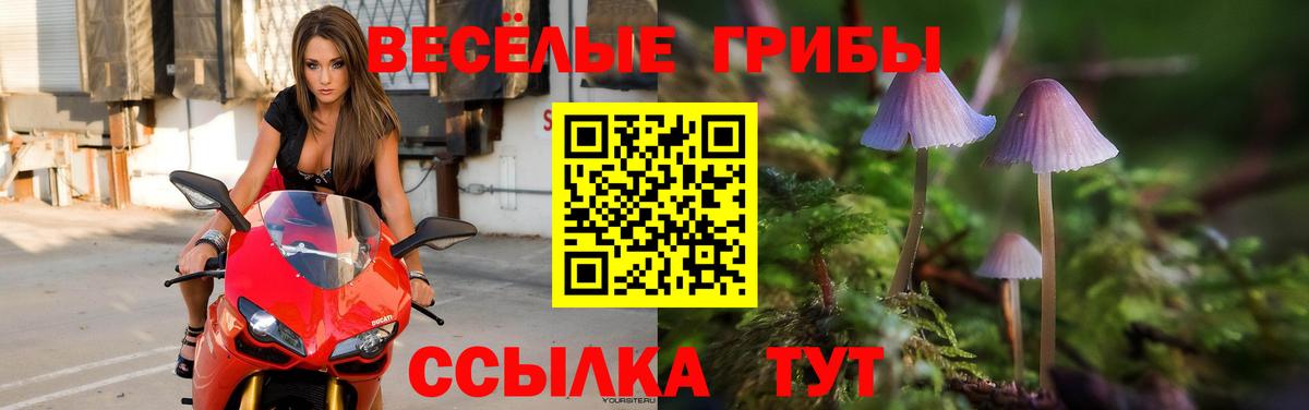 Когалым  Псилоцибиновые грибы Cubensis  Вход с VPN 